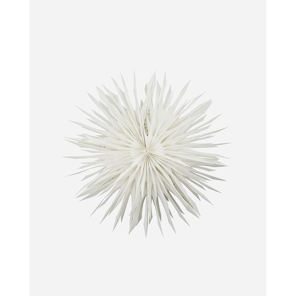 Papierstern Reef off white