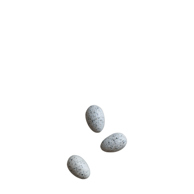 Dekoei mini mole dot