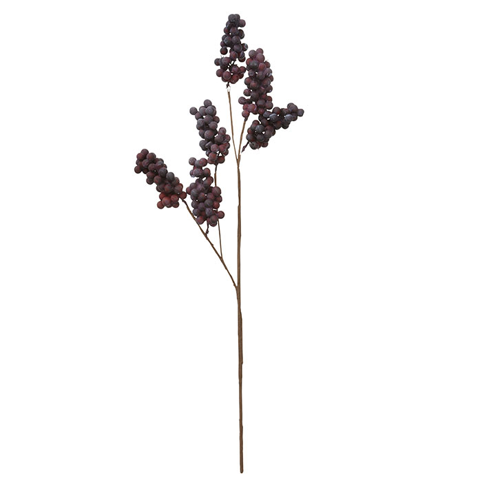 Beerenzweig Fig Bordeaux