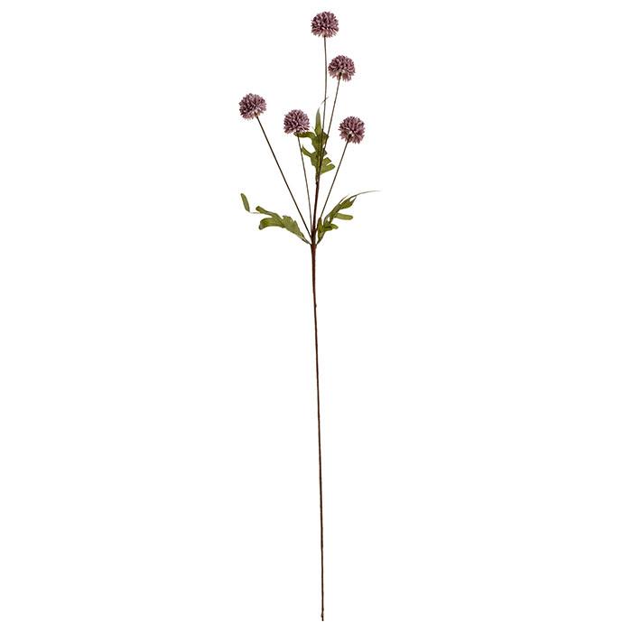 Allium Pompom Flower Lilac