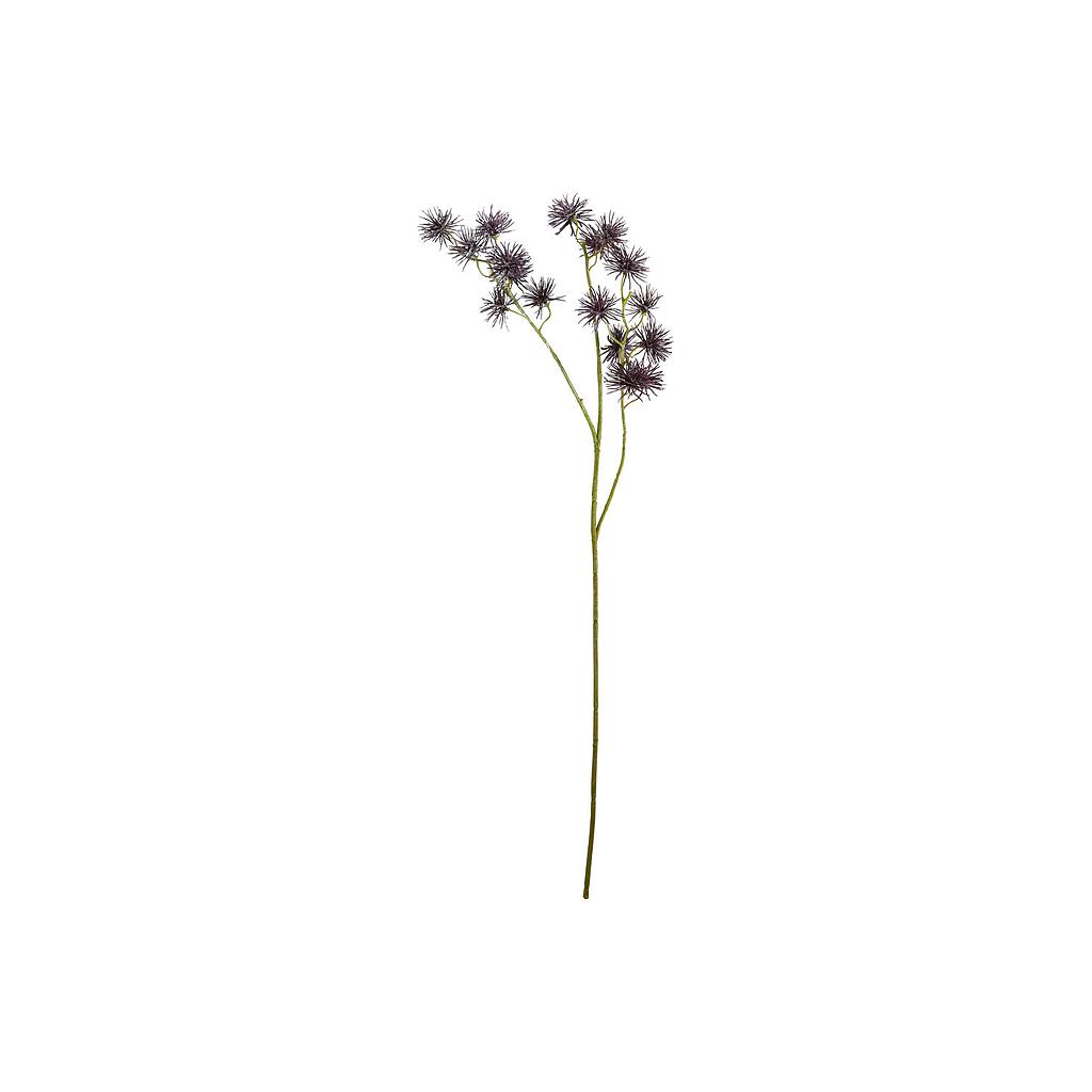Zweig Seeigel Burgundy