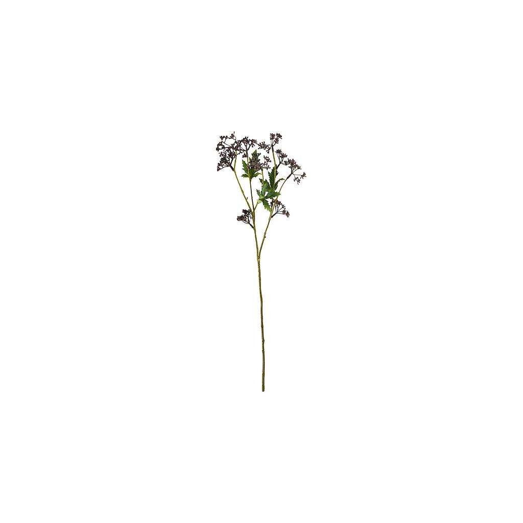 Zweig Meadow Burgundy