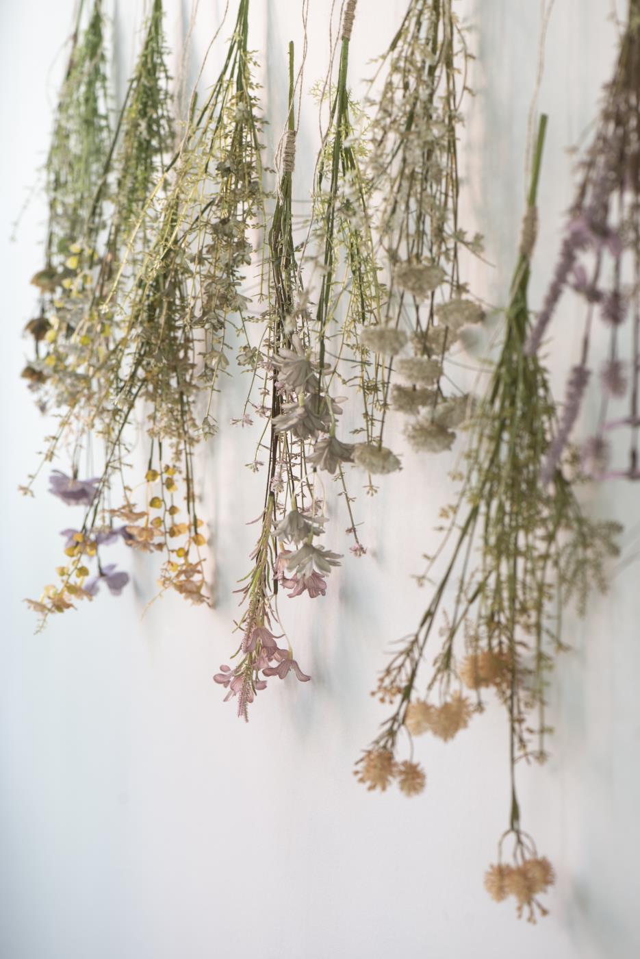 Wiesenblume Stängel haut/grüntöne